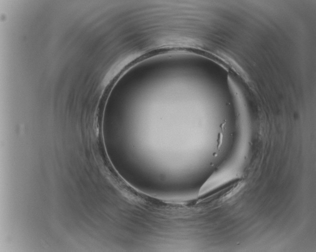 X0000063510885200601271808