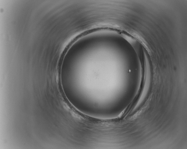 X0000063510888200601271808