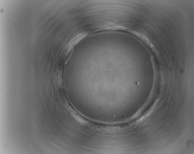 X0000063510889200601271808