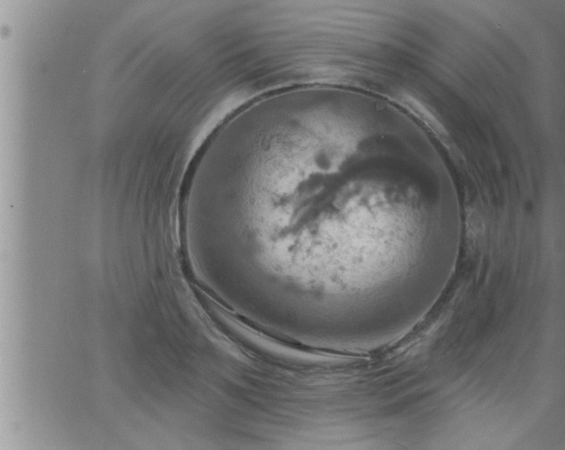 X0000063510891200601271808