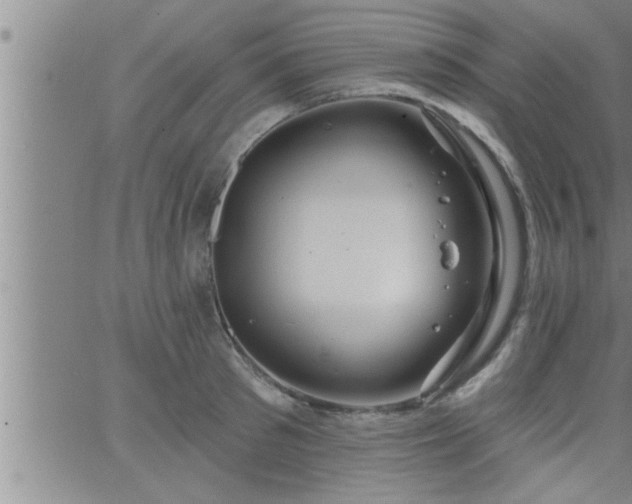 X0000063510897200601271808