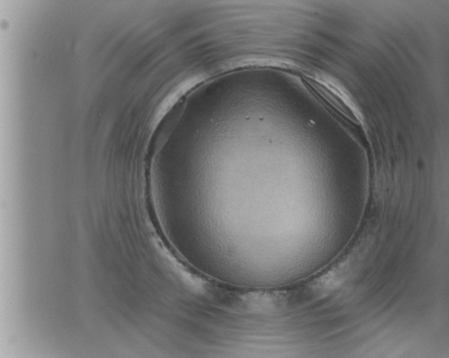 X0000063510898200601271808