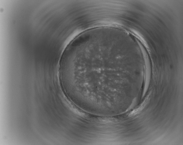 X0000063510899200601271807