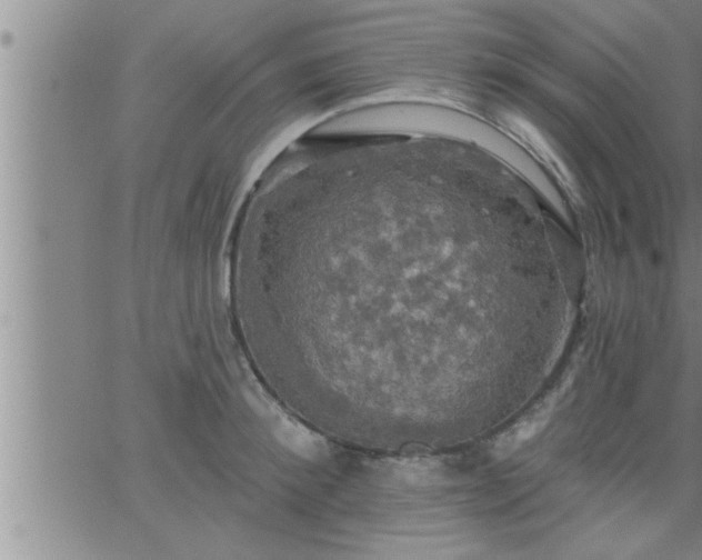 X0000063510900200601271807