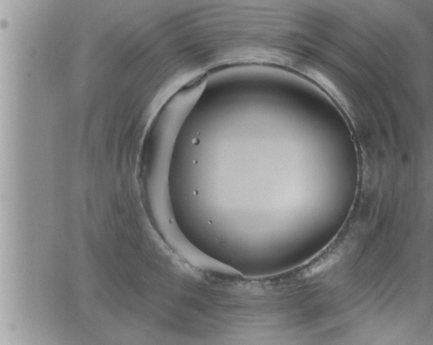 X0000063510901200601271807