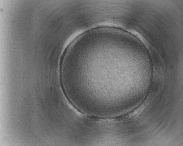 X0000063510902200601271807