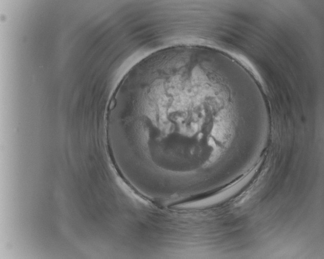 X0000063510903200601271807