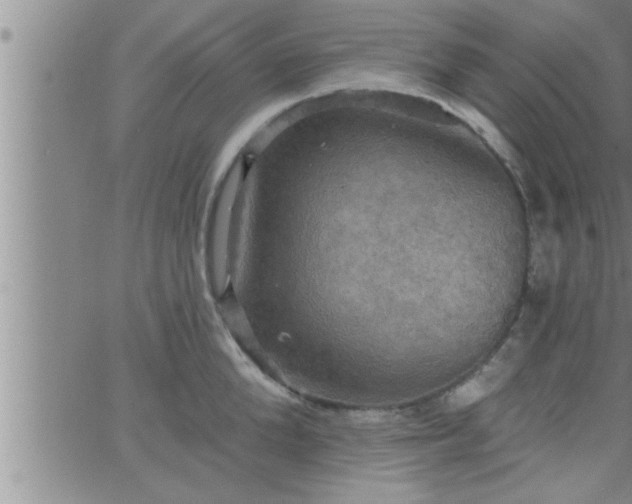 X0000063510904200601271807