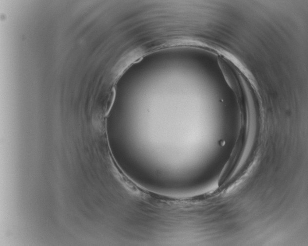 X0000063510905200601271807