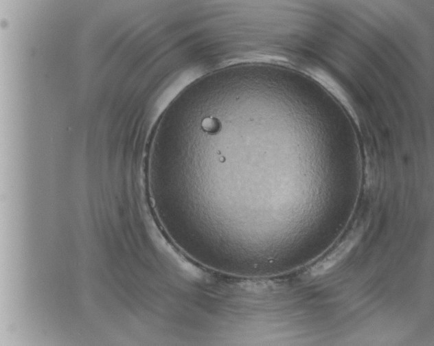 X0000063510906200601271807