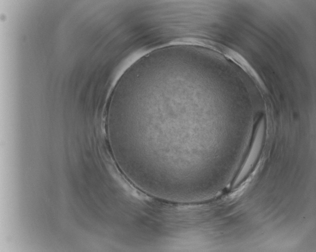 X0000063510908200601271807