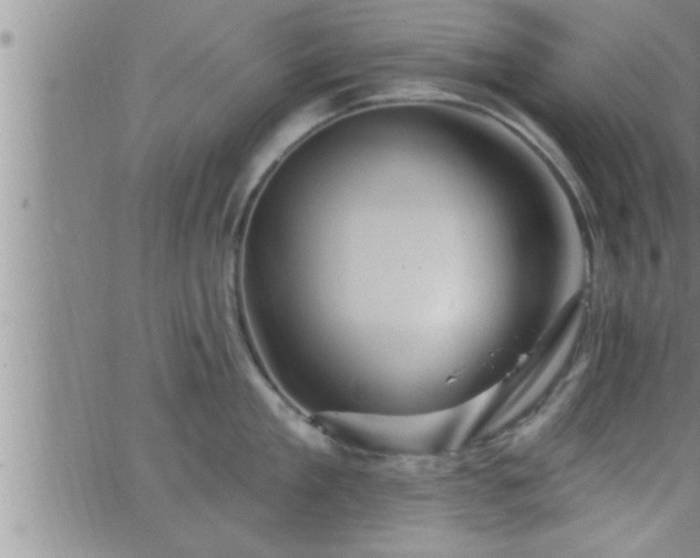 X0000063510909200601271807