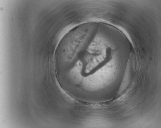 X0000063510911200601271807