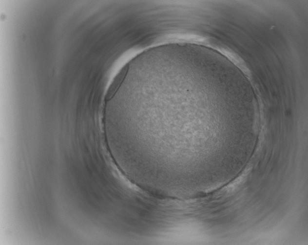 X0000063510912200601271807