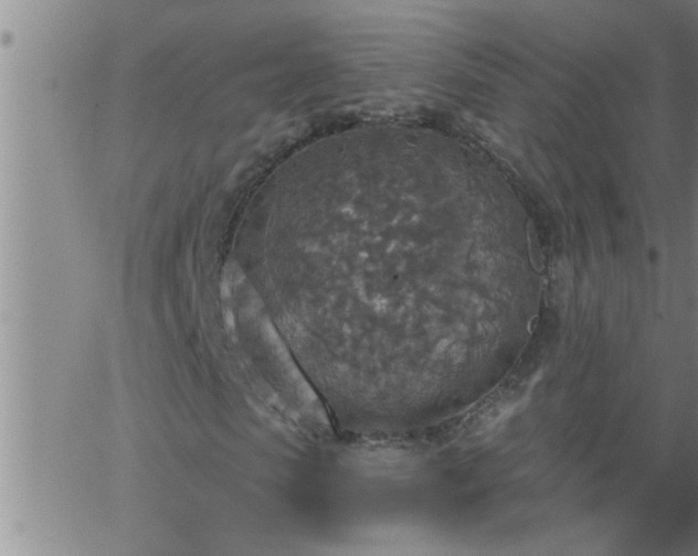 X0000063510913200601271806