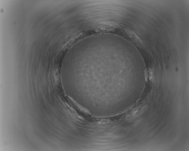 X0000063510915200601271807