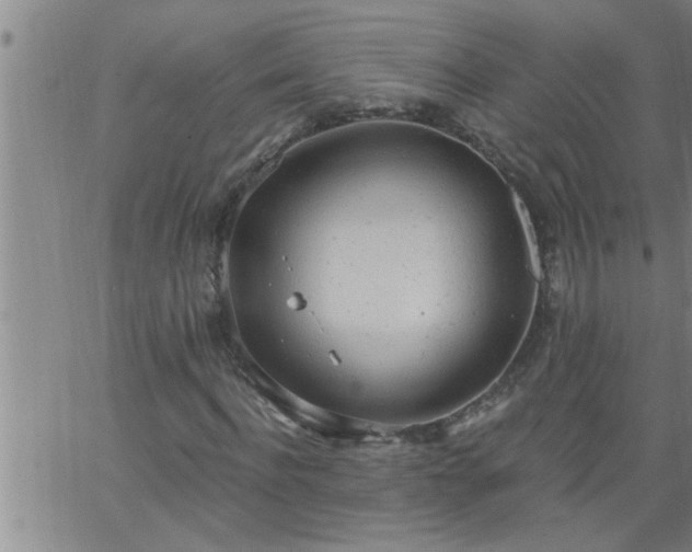 X0000063510916200601271807