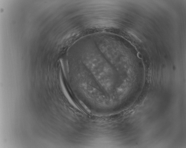 X0000063510917200601271807