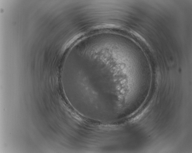 X0000063510921200601271807