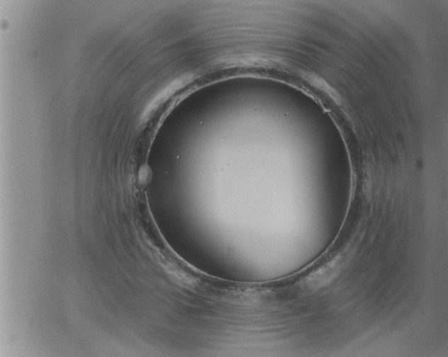 X0000063510922200601271807