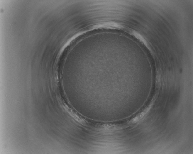 X0000063510923200601271807