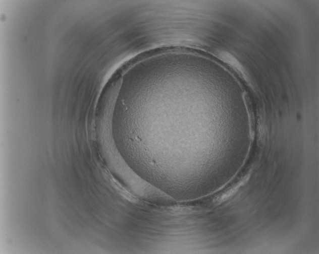 X0000063510924200601271807