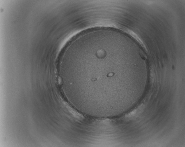 X0000063510926200601271807