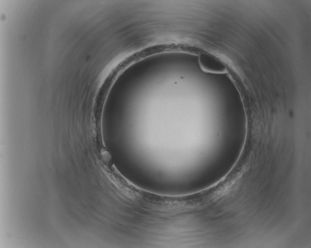 X0000063510927200601271807