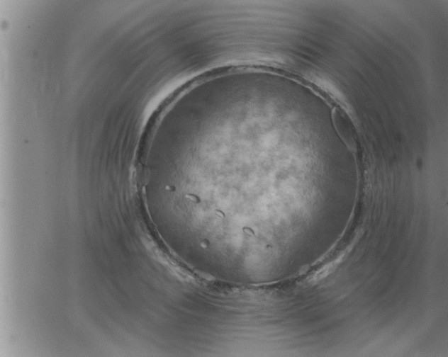 X0000063510928200601271807