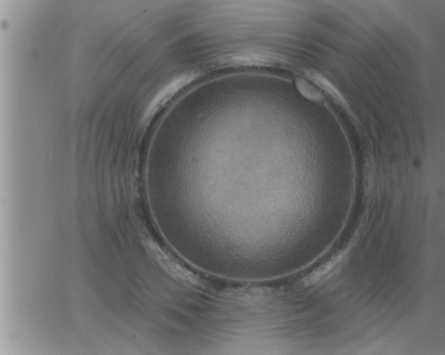 X0000063510930200601271807