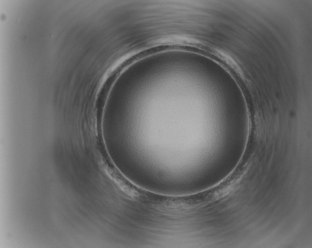 X0000063510931200601271807