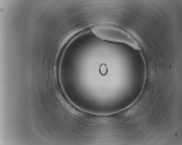 X0000063510932200601271807