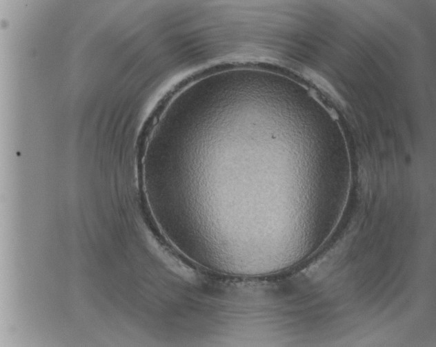 X0000063510934200601271807