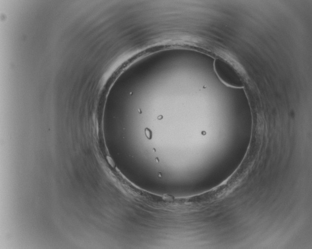 X0000063510936200601271807