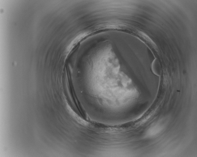 X0000063510938200601271807