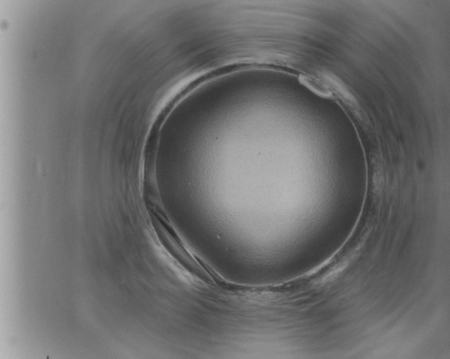 X0000063510940200601271807