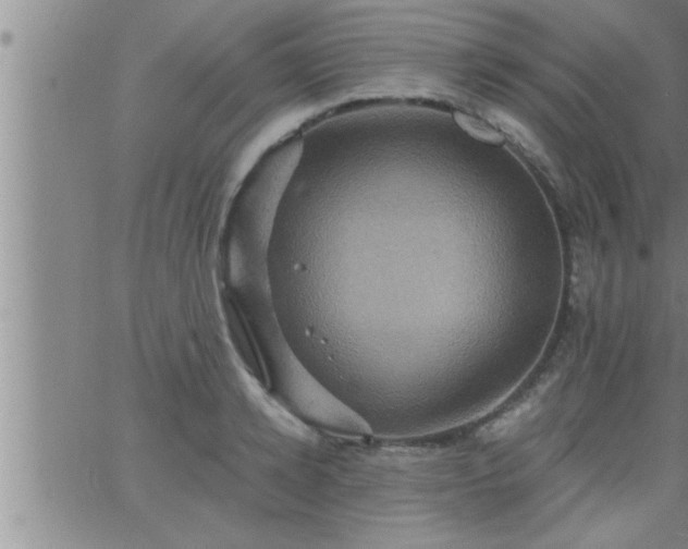 X0000063510942200601271807