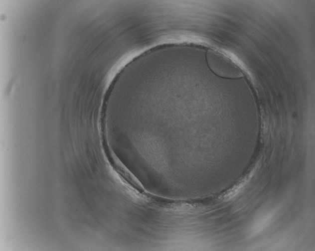 X0000063510943200601271807