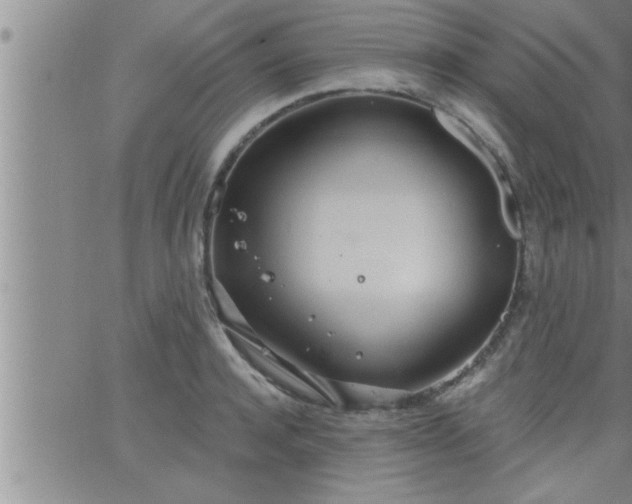 X0000063510944200601271807