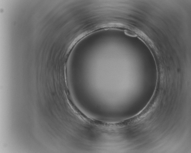 X0000063510945200601271807