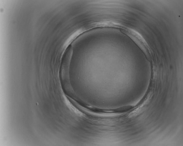 X0000063510946200601271807