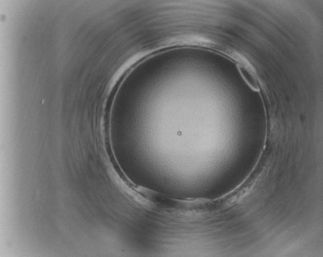 X0000063510947200601271807