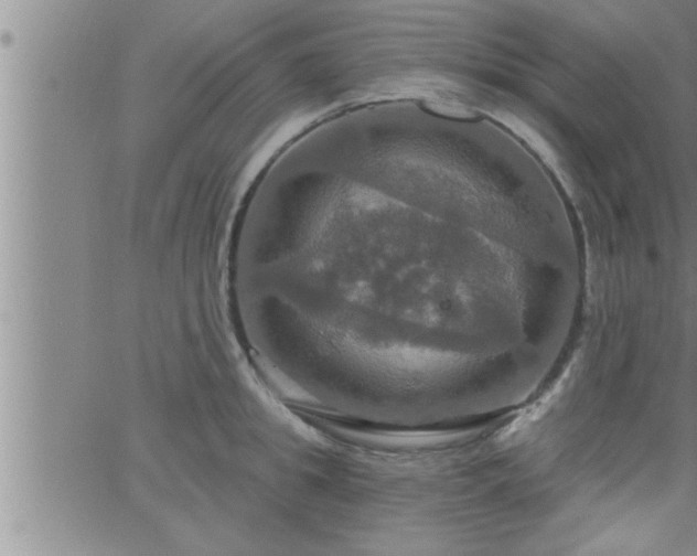 X0000063510949200601271807