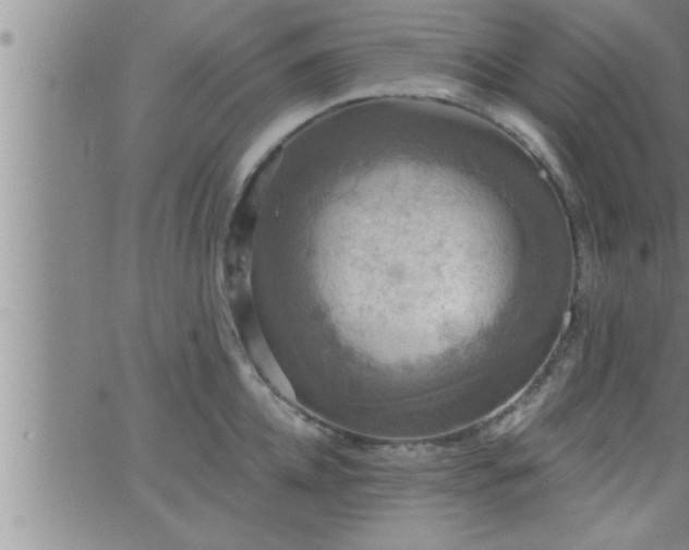 X0000063510952200601271807