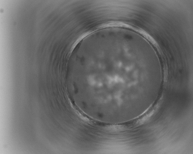 X0000063510953200601271807