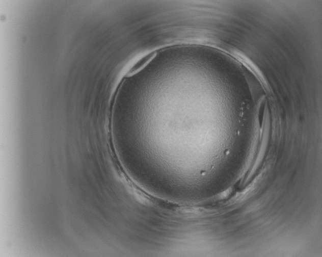 X0000063510956200601271807