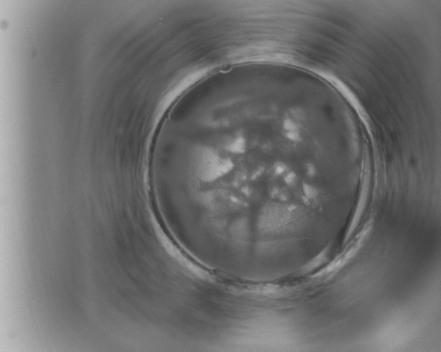 X0000063510957200601271807