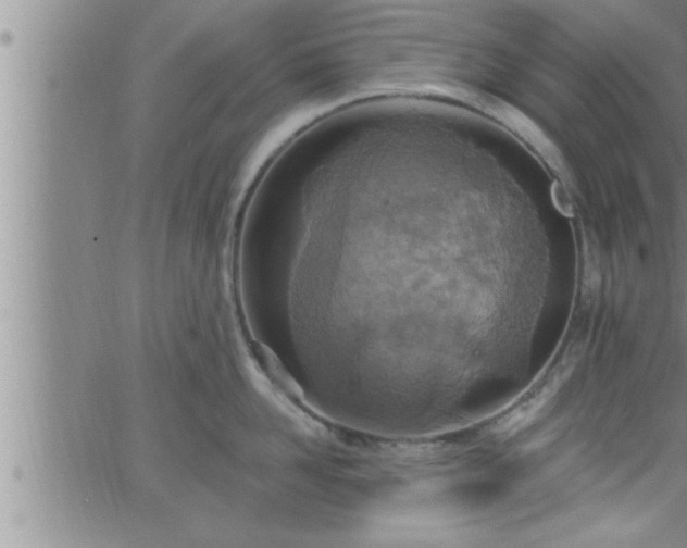 X0000063510958200601271807