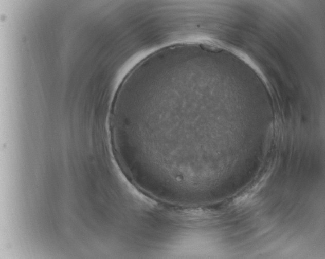 X0000063510959200601271807