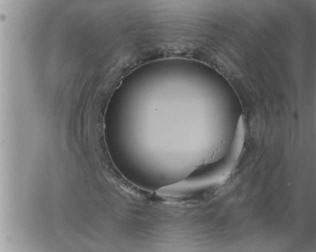 X0000063510961200601271806